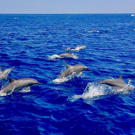 Blue Ocean Cabana Hotel Trincomalee Ngoại thất bức ảnh